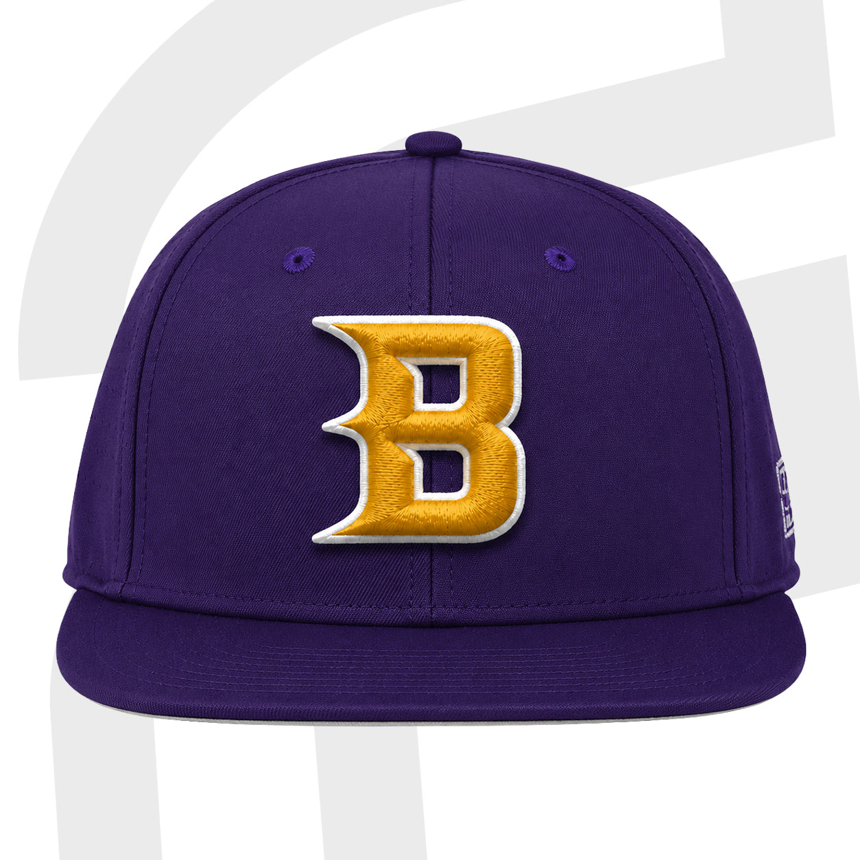 The Game Fitted Embroidered B Hat